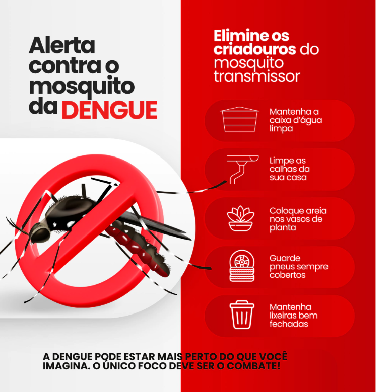 Conscientização Contra a Dengue