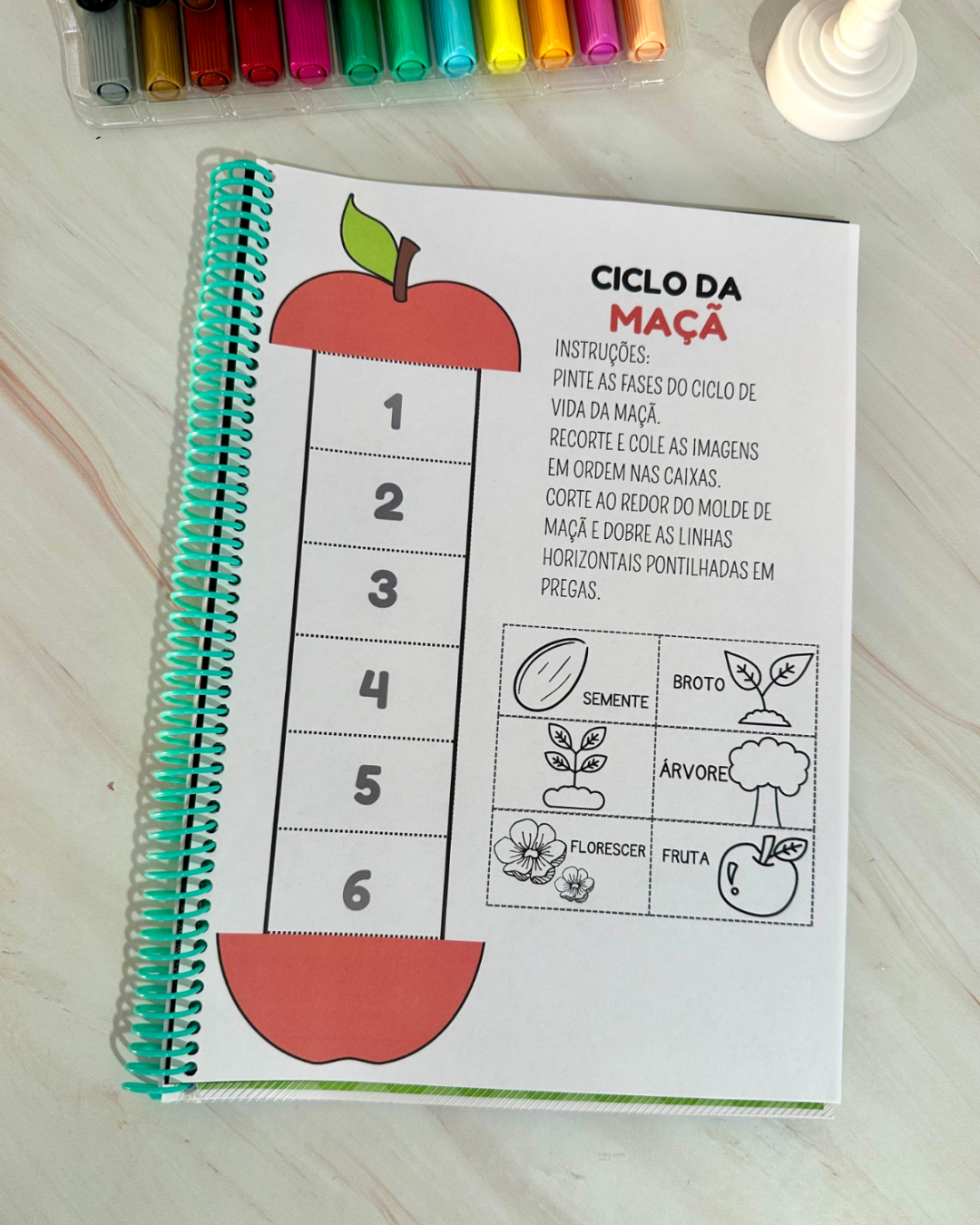 Sequência Temporal – Entendendo o ciclo da vida de forma lúdica e acessível! - Image 3