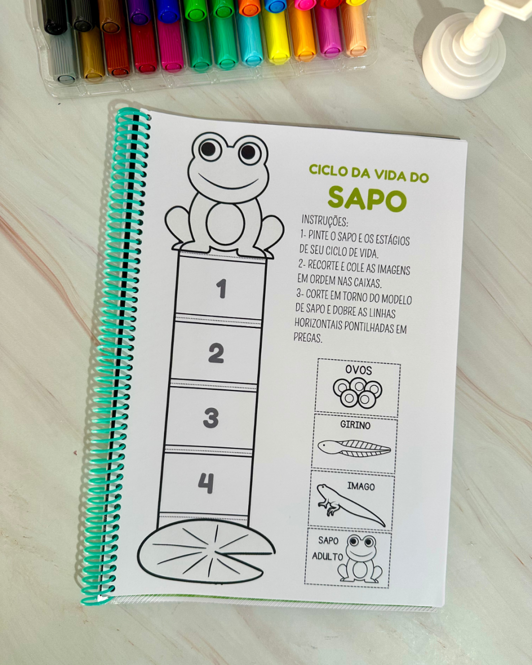 Sequência Temporal – Entendendo o ciclo da vida de forma lúdica e acessível! - Image 2