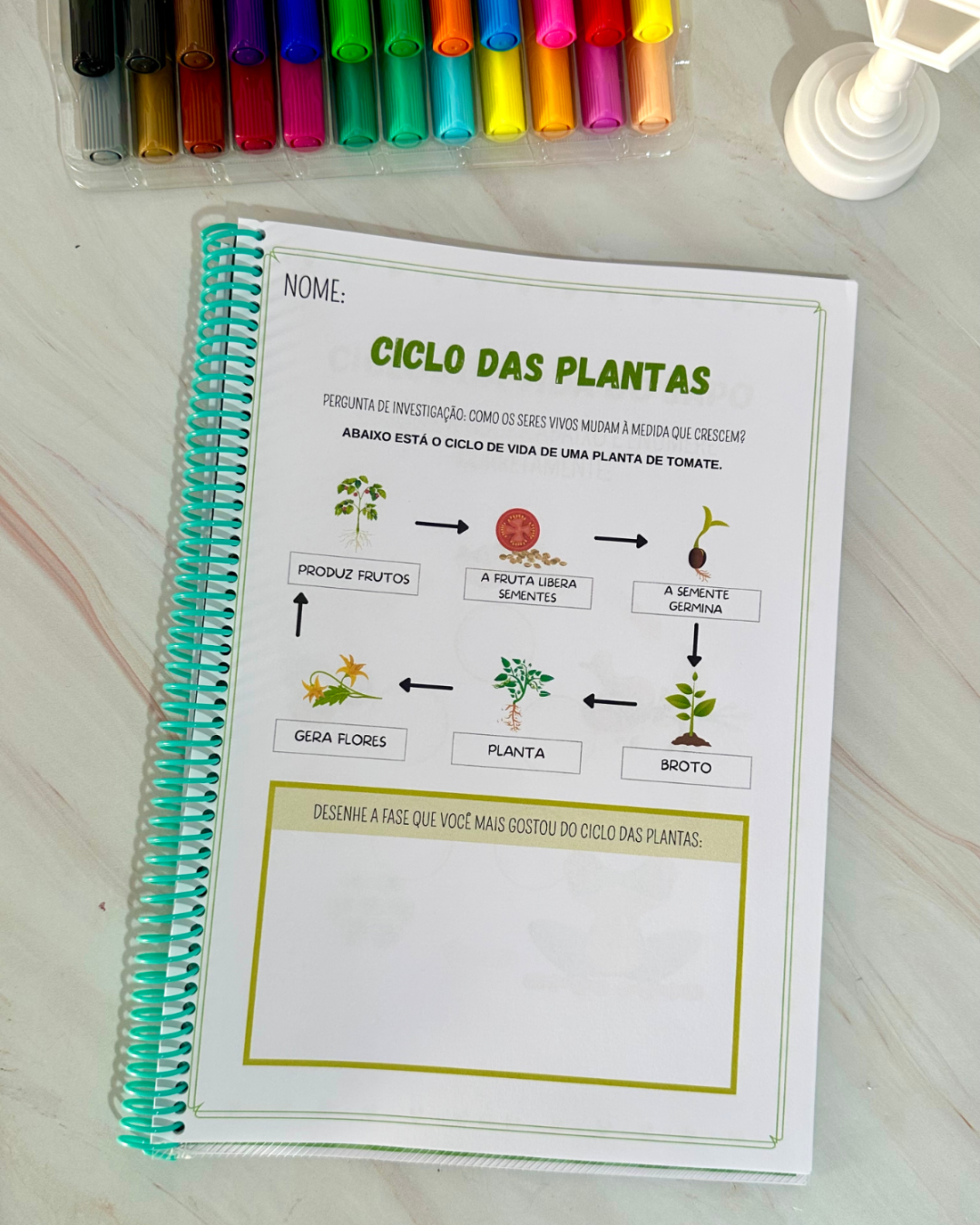 Sequência Temporal – Entendendo o ciclo da vida de forma lúdica e acessível! - Image 7