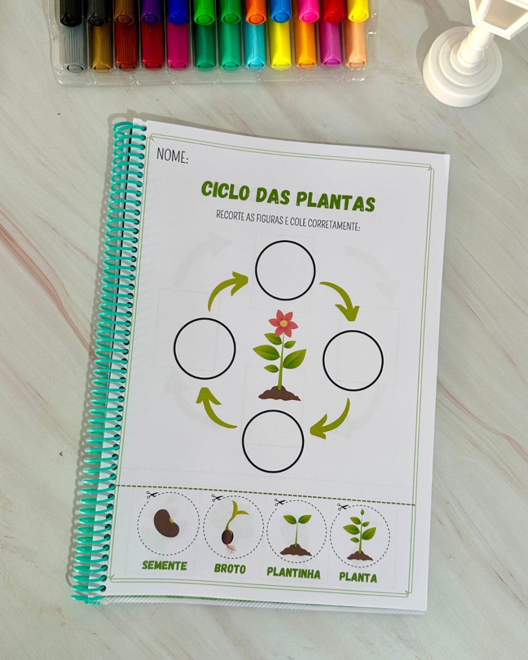 Sequência Temporal – Entendendo o ciclo da vida de forma lúdica e acessível! - Image 6