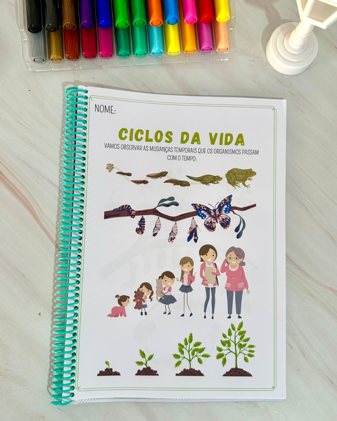 Sequência Temporal – Entendendo o ciclo da vida de forma lúdica e acessível! - Image 9