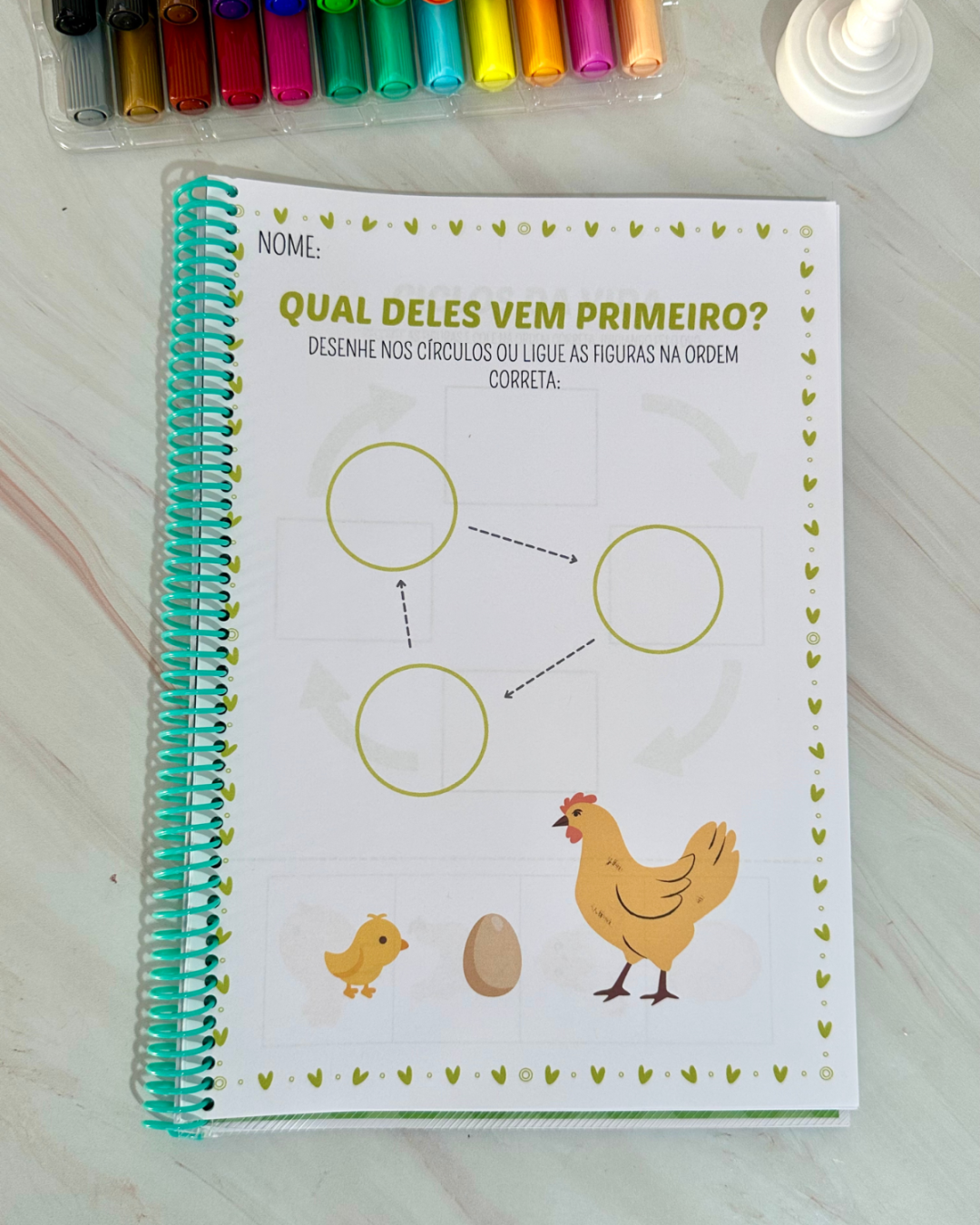 Sequência Temporal – Entendendo o ciclo da vida de forma lúdica e acessível! - Image 5