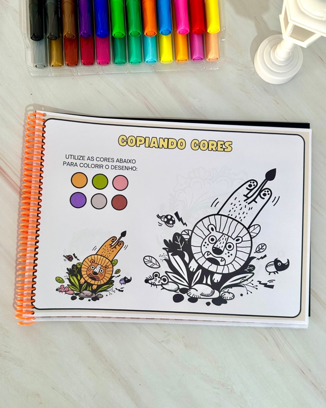 Copiando Cores – Educação Especial - Image 4