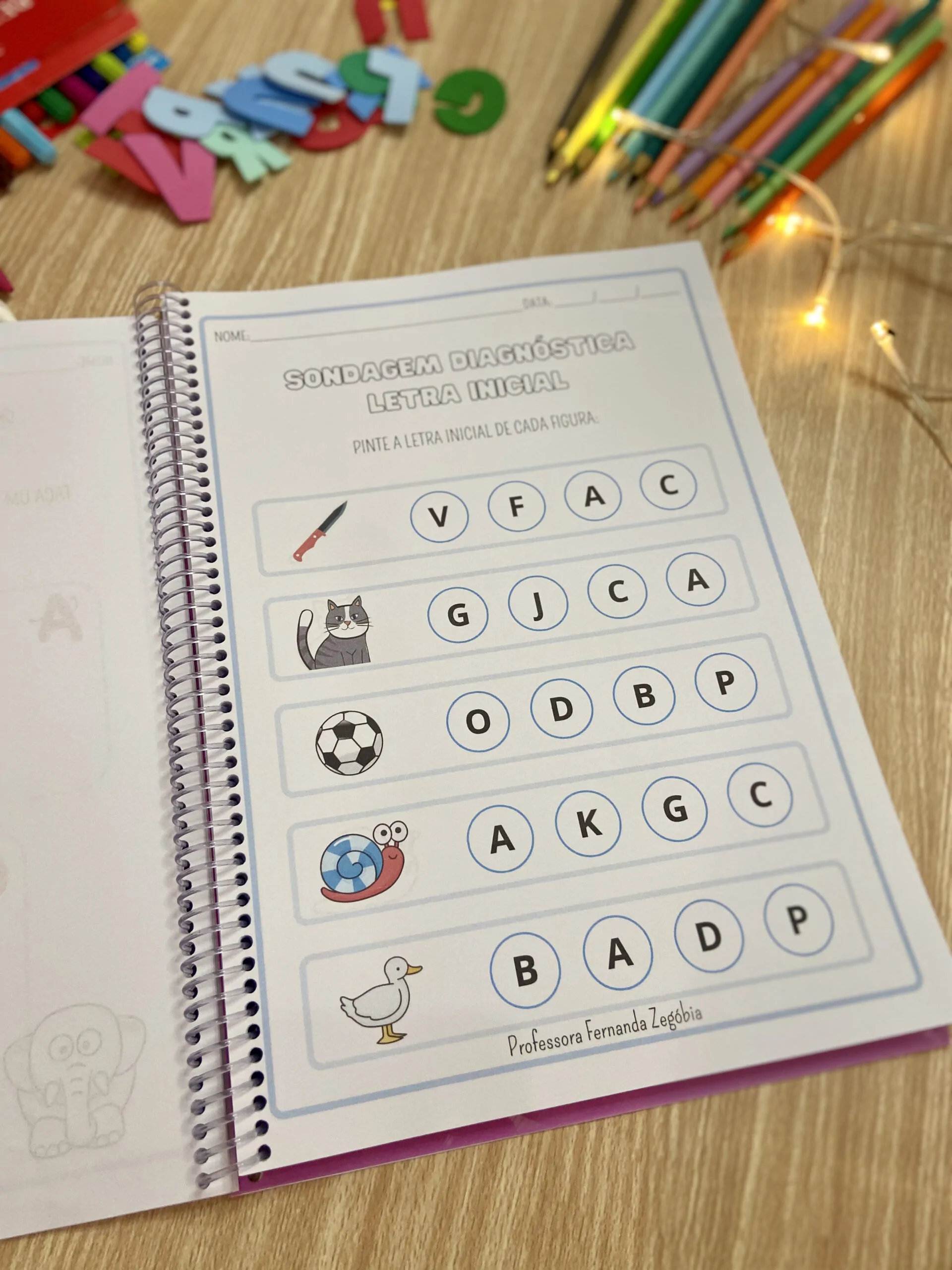 Apostila de Sondagem Diagnóstica - Imagem 5