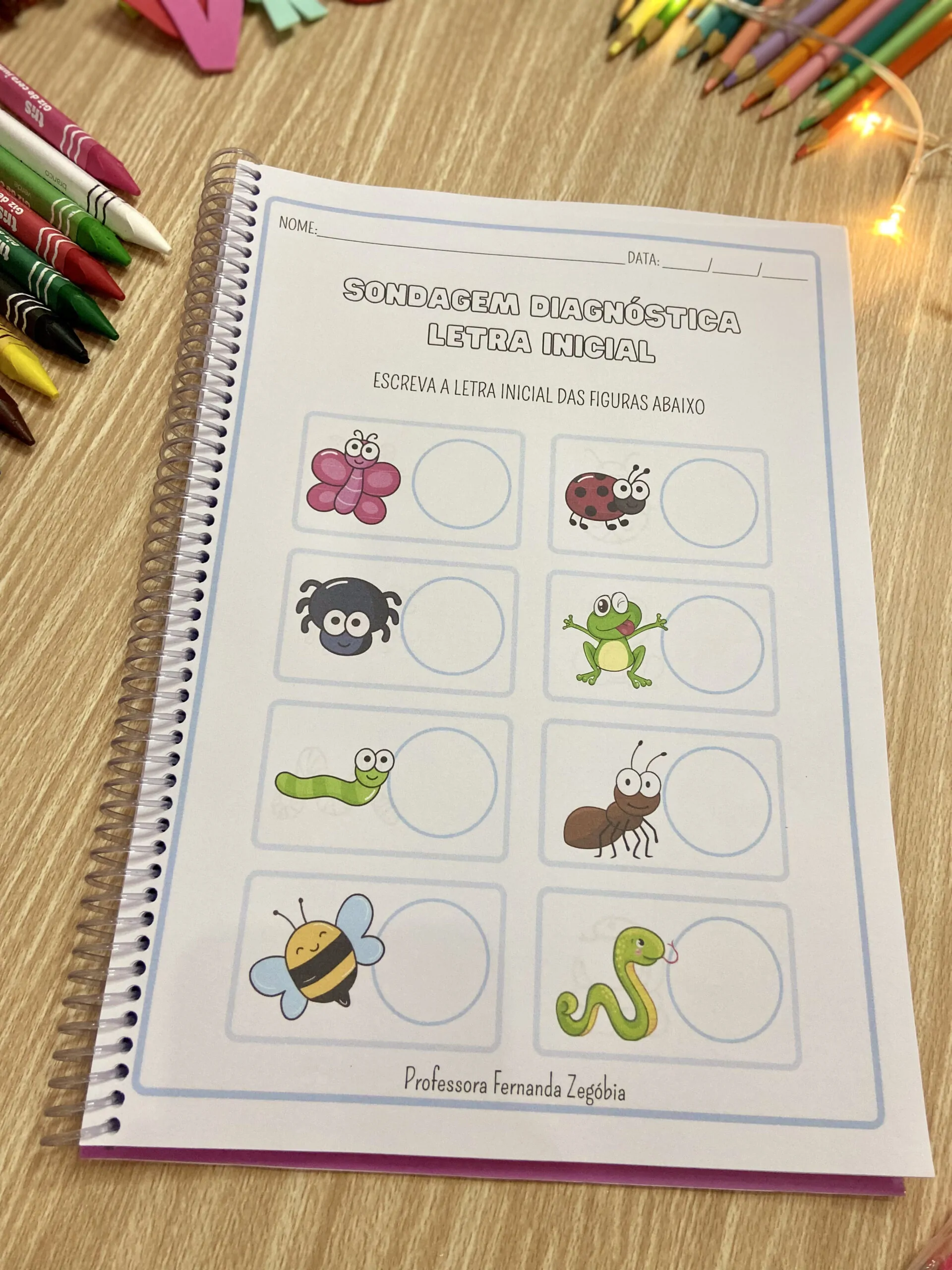 Apostila de Sondagem Diagnóstica - Imagem 6