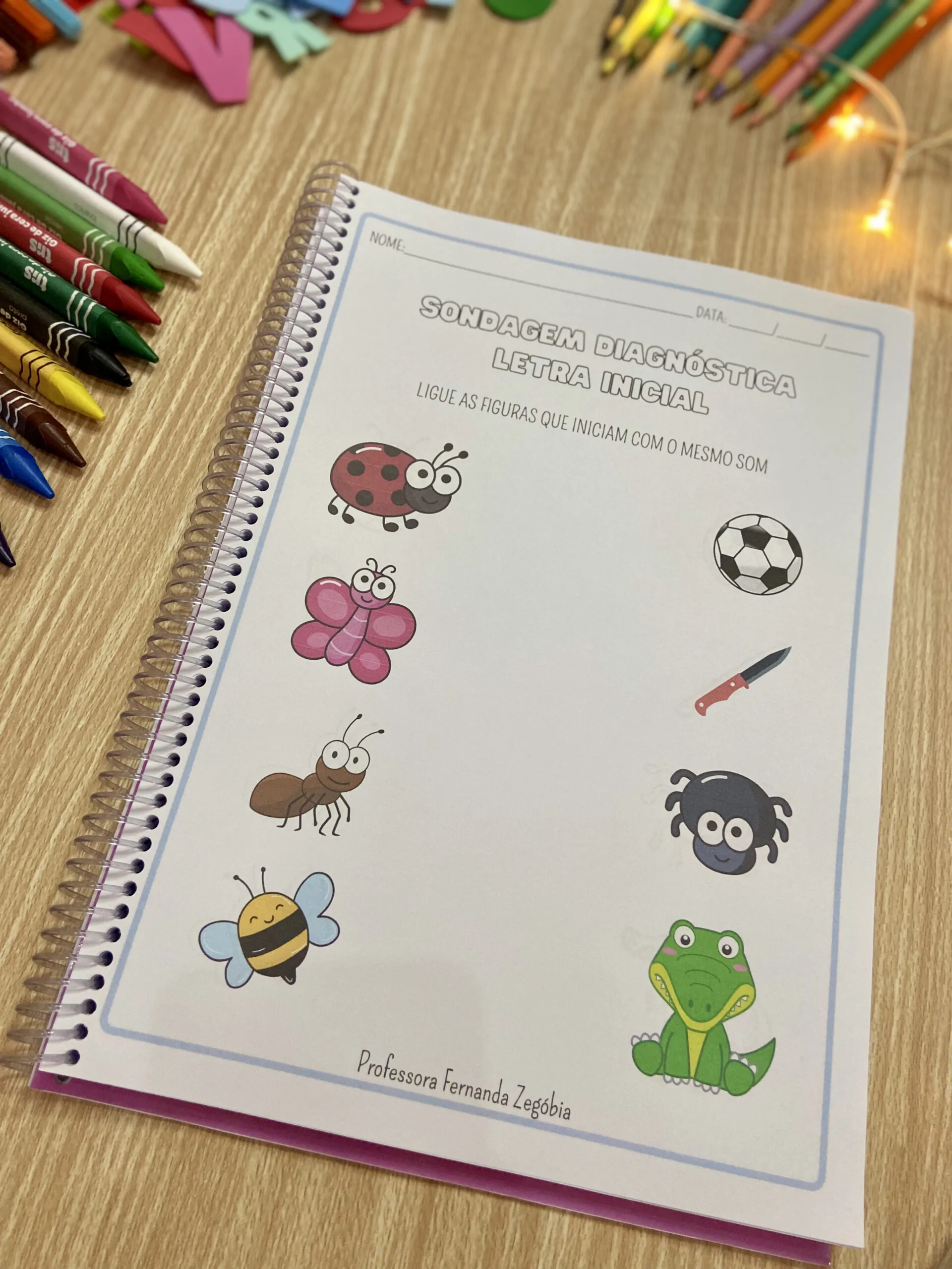 Apostila de Sondagem Diagnóstica - Imagem 7