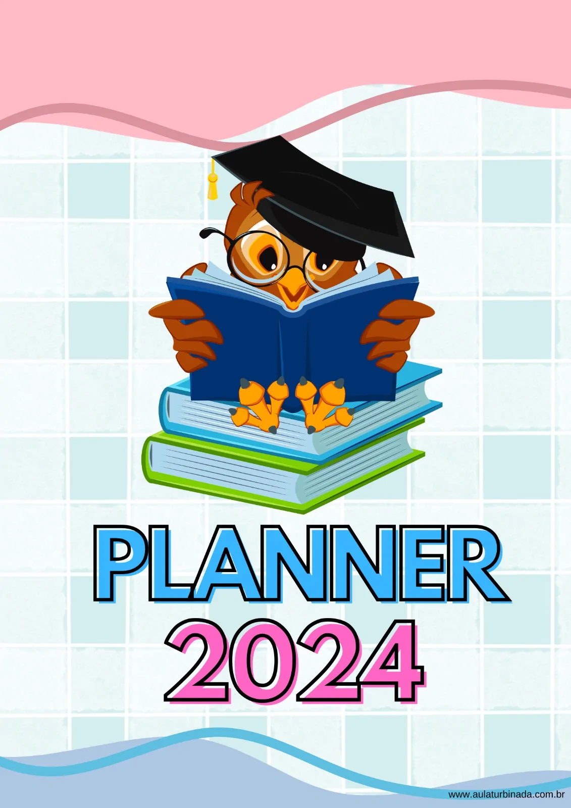 Planner Professor 2024