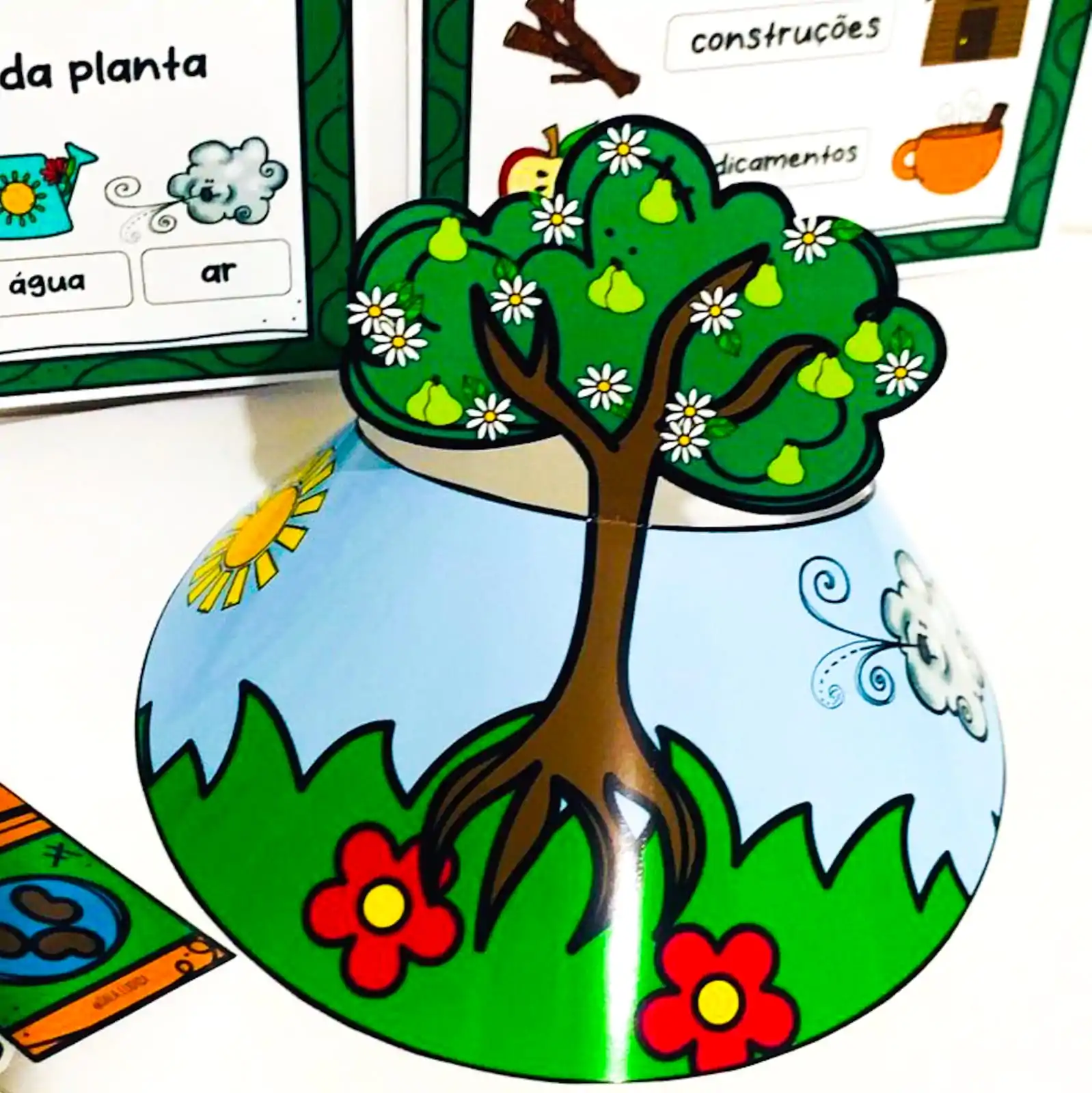 Plantas - Imagem 6