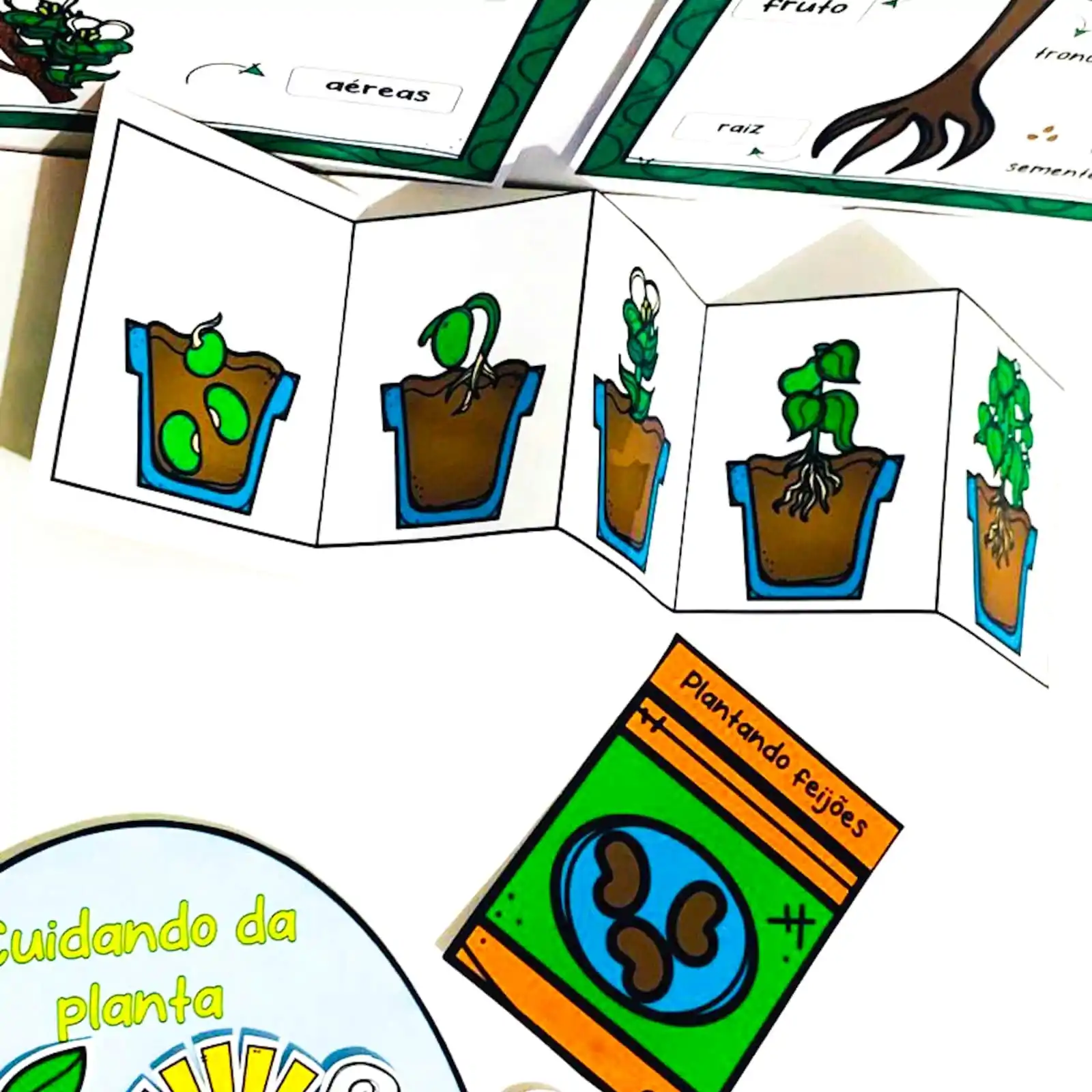 Plantas - Imagem 2