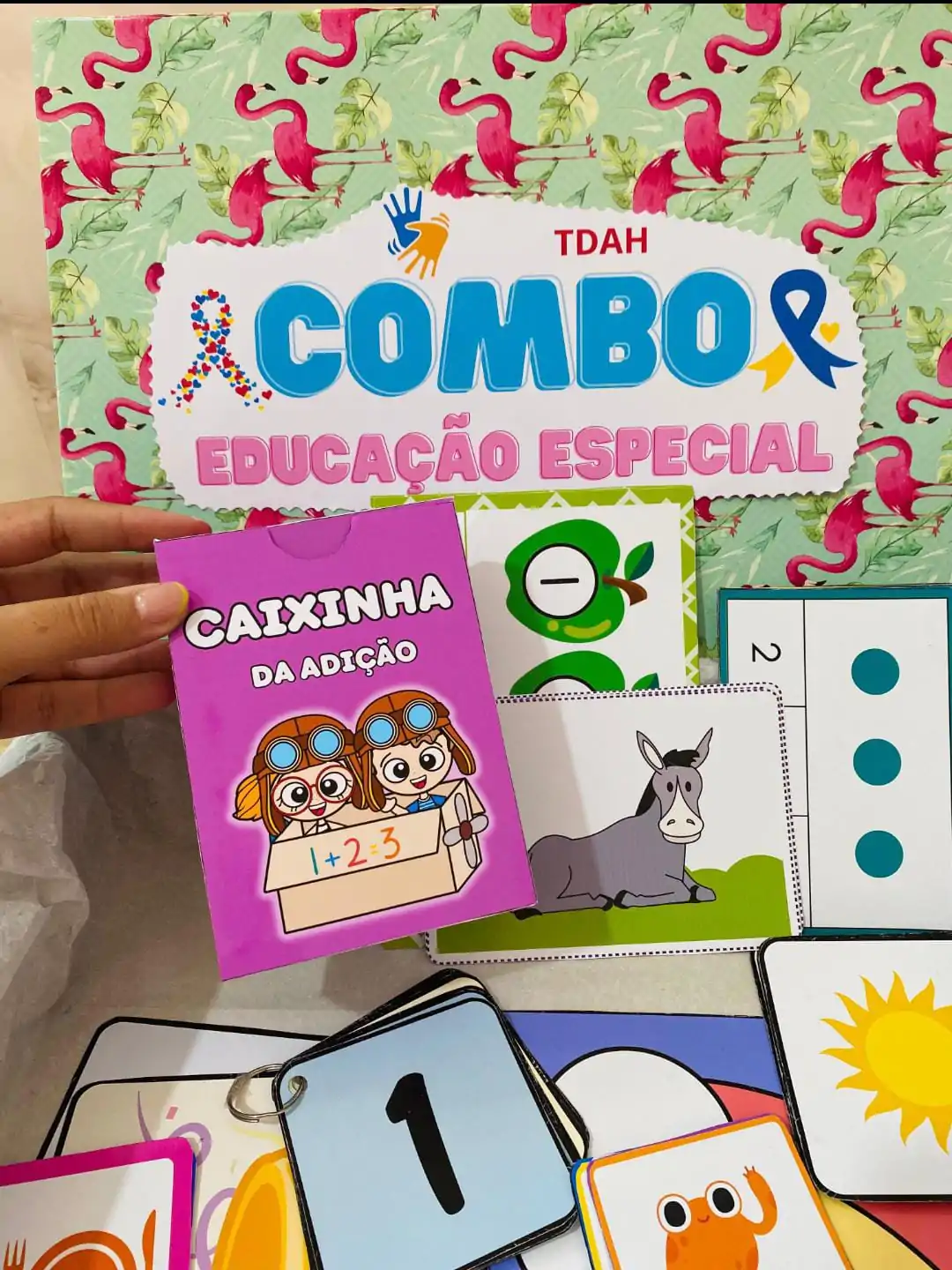 Combo Educação Especial Vol.1 - Imagem 2