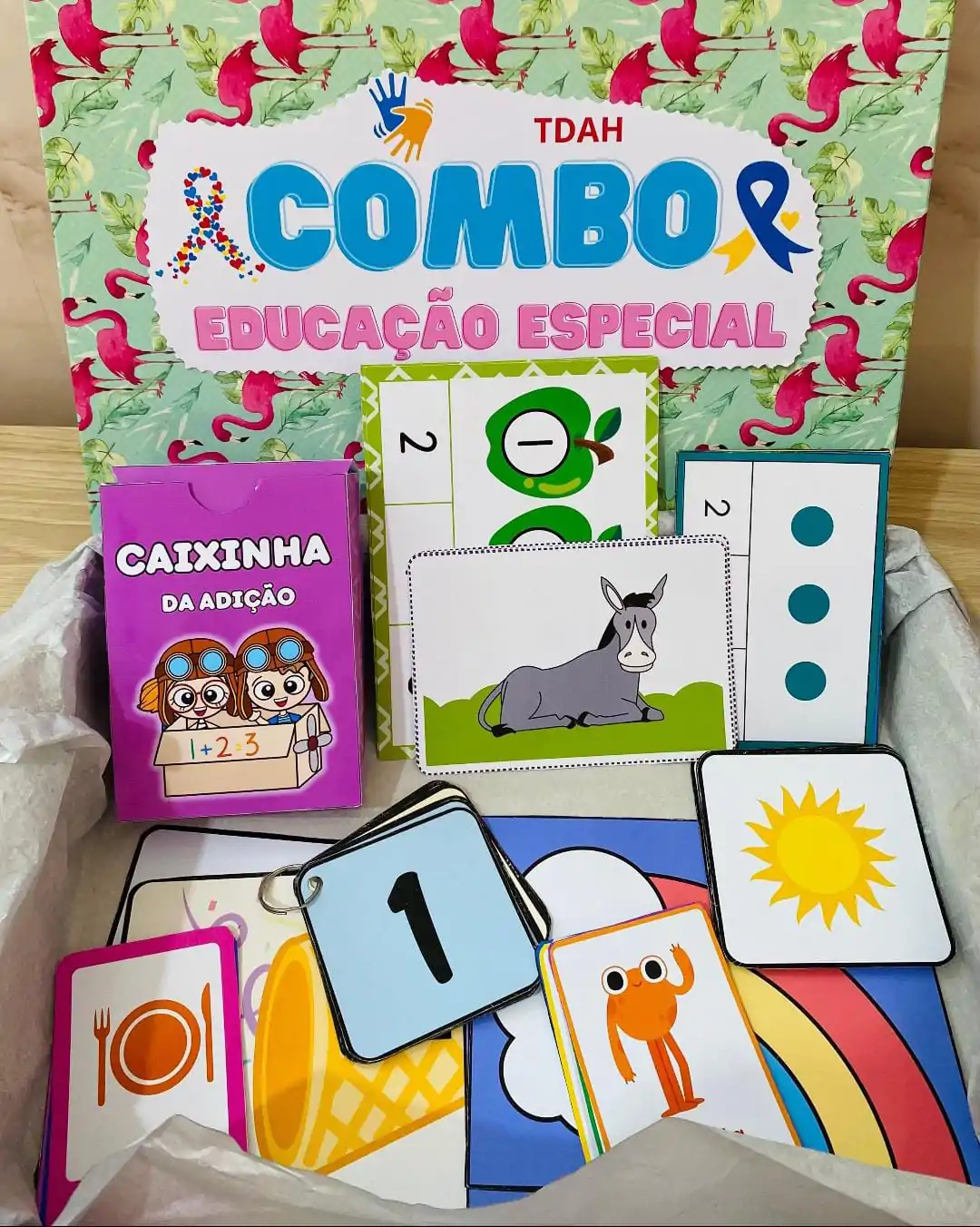 Combo Educação Especial Vol.1
