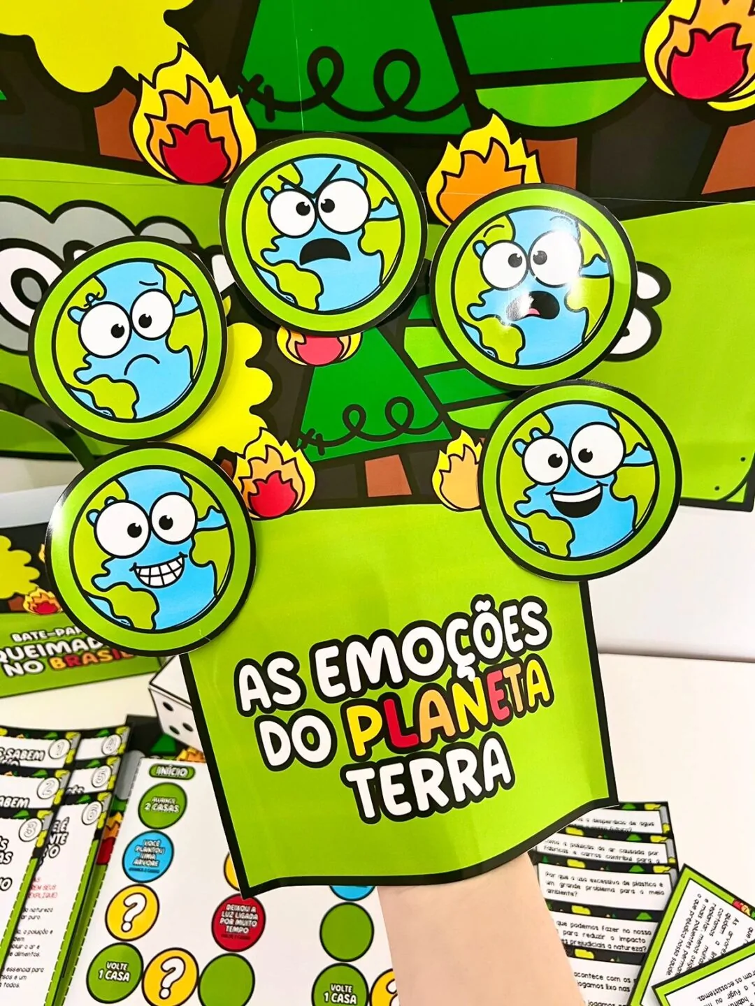 Queimadas no Brasil - Imagem 6