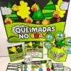 Queimadas no Brasil - Imagem 3