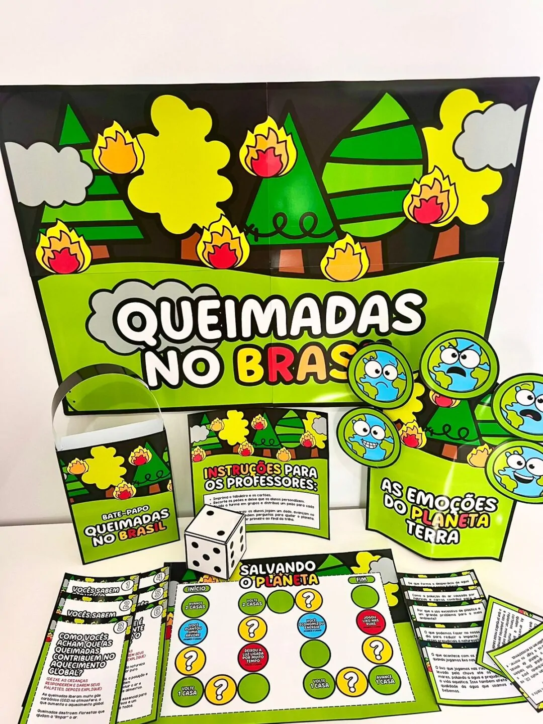 Queimadas no Brasil - Imagem 3