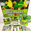 Queimadas no Brasil