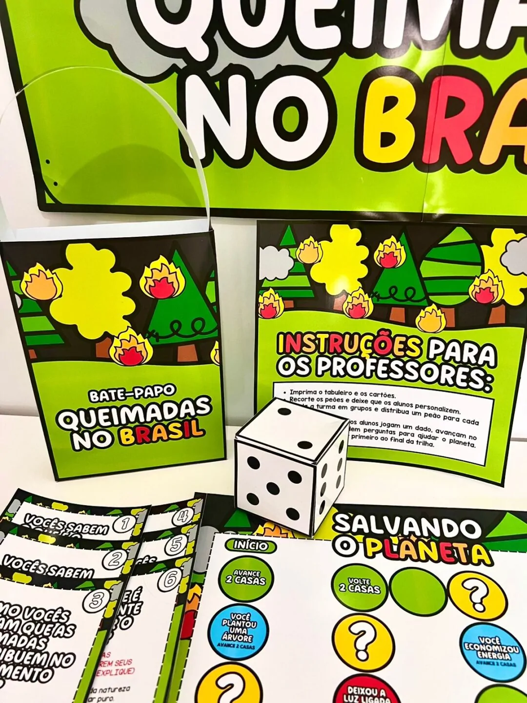Queimadas no Brasil - Imagem 2