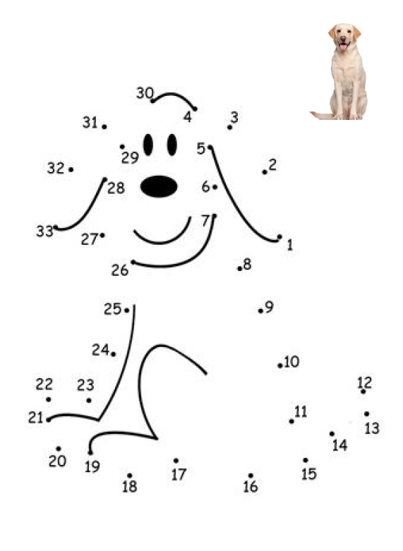 Matemática Inclusiva - AEE - Imagem 15