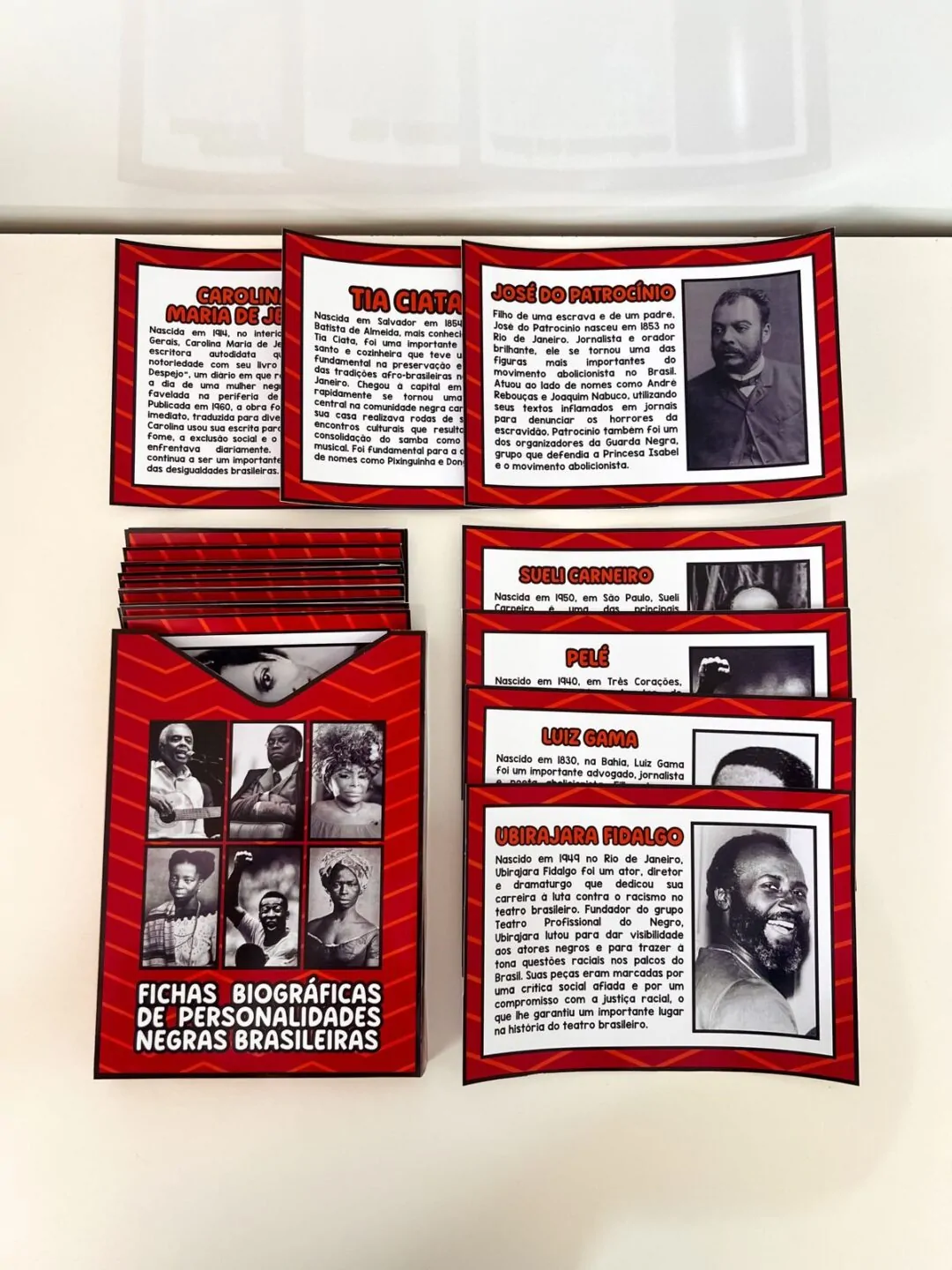 Fichas Biográficas Personalidades Negras Brasileiras - Imagem 8