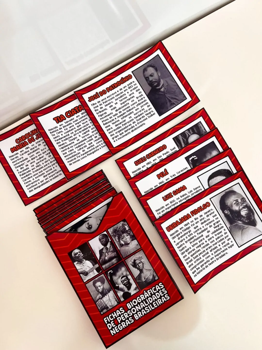 Fichas Biográficas Personalidades Negras Brasileiras - Imagem 5
