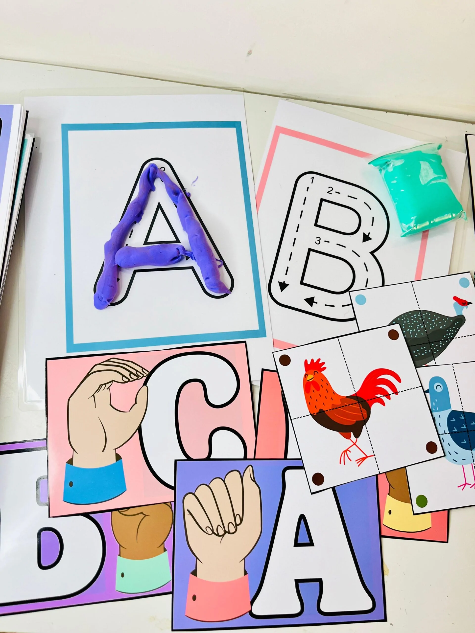 Combo Completo Educação Inclusiva - AEE - Imagem 20