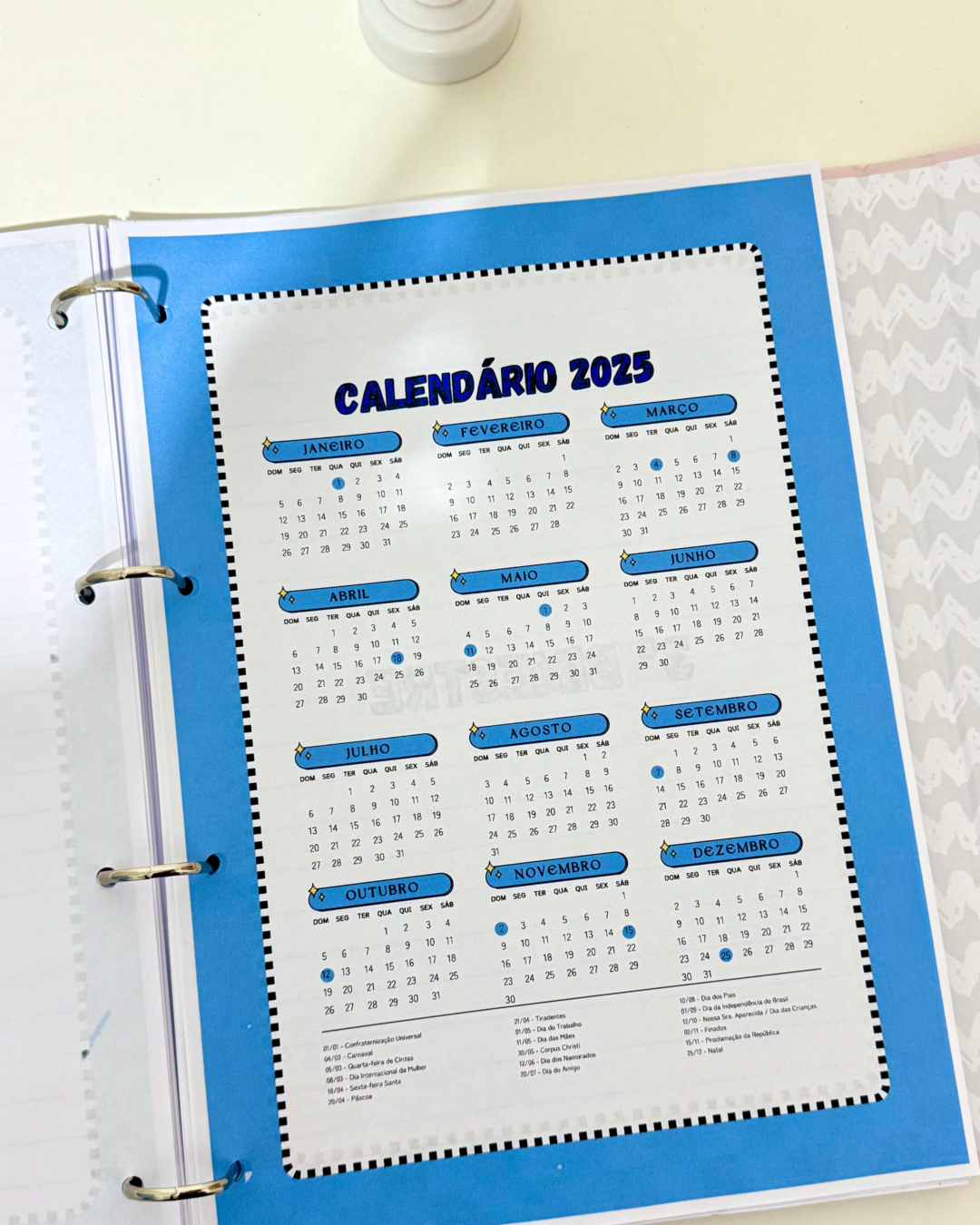 Planner Professor 2025 - Imagem 8