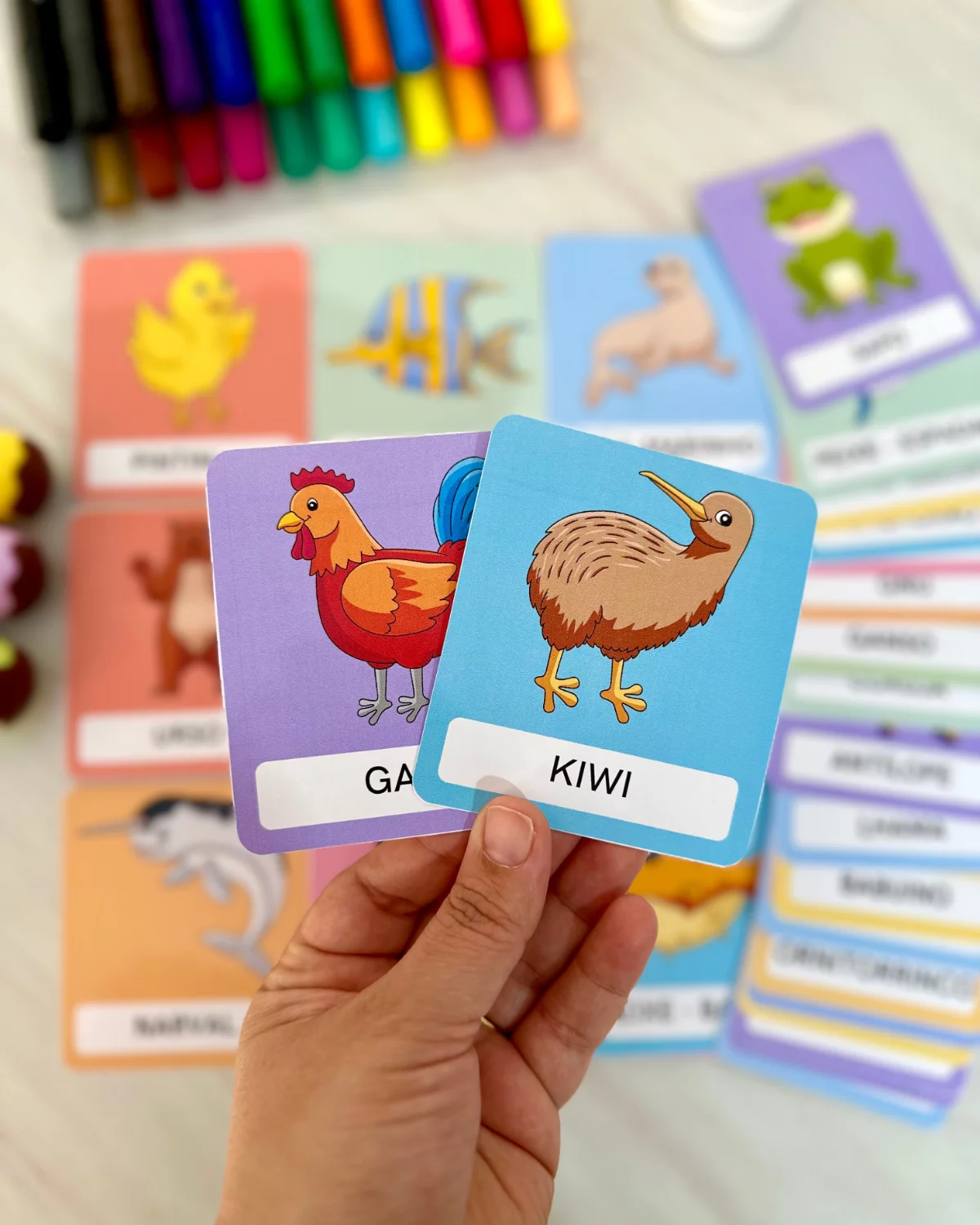 Cards Animais - Educação Especial