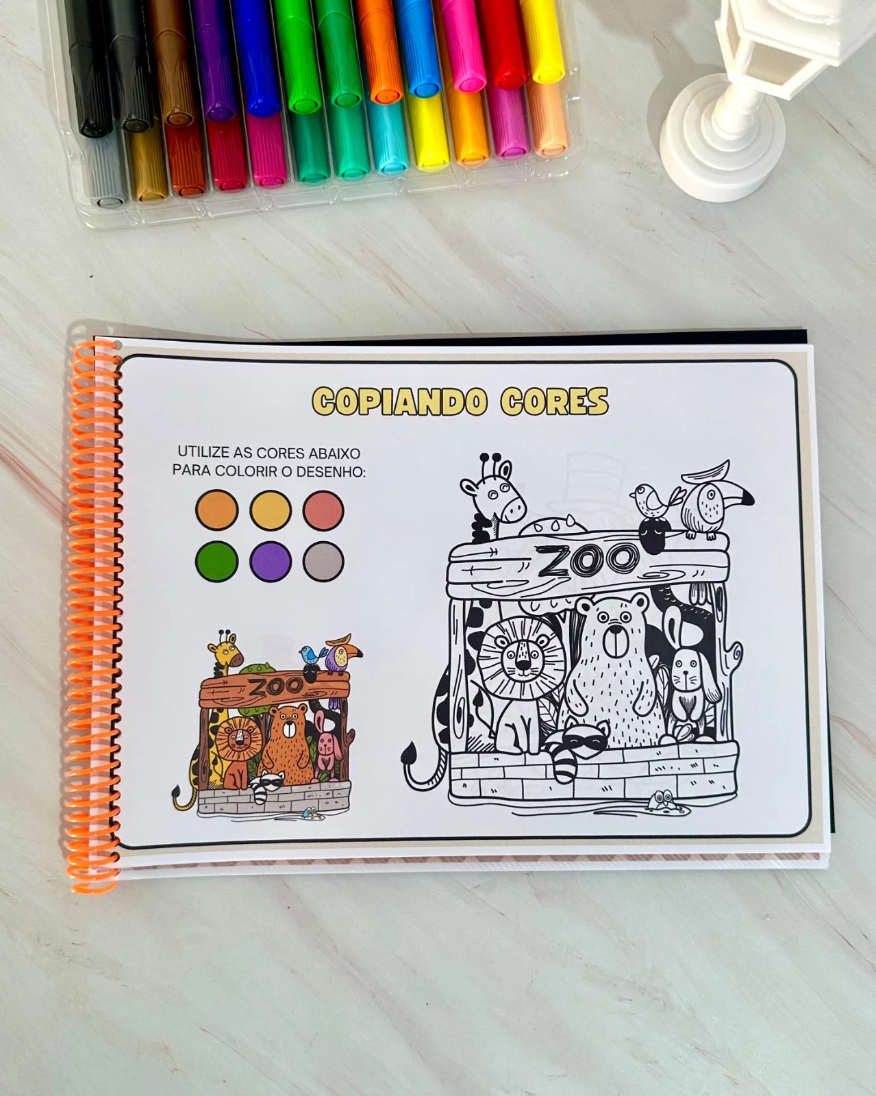 Copiando Cores – Educação Especial - Imagem 10