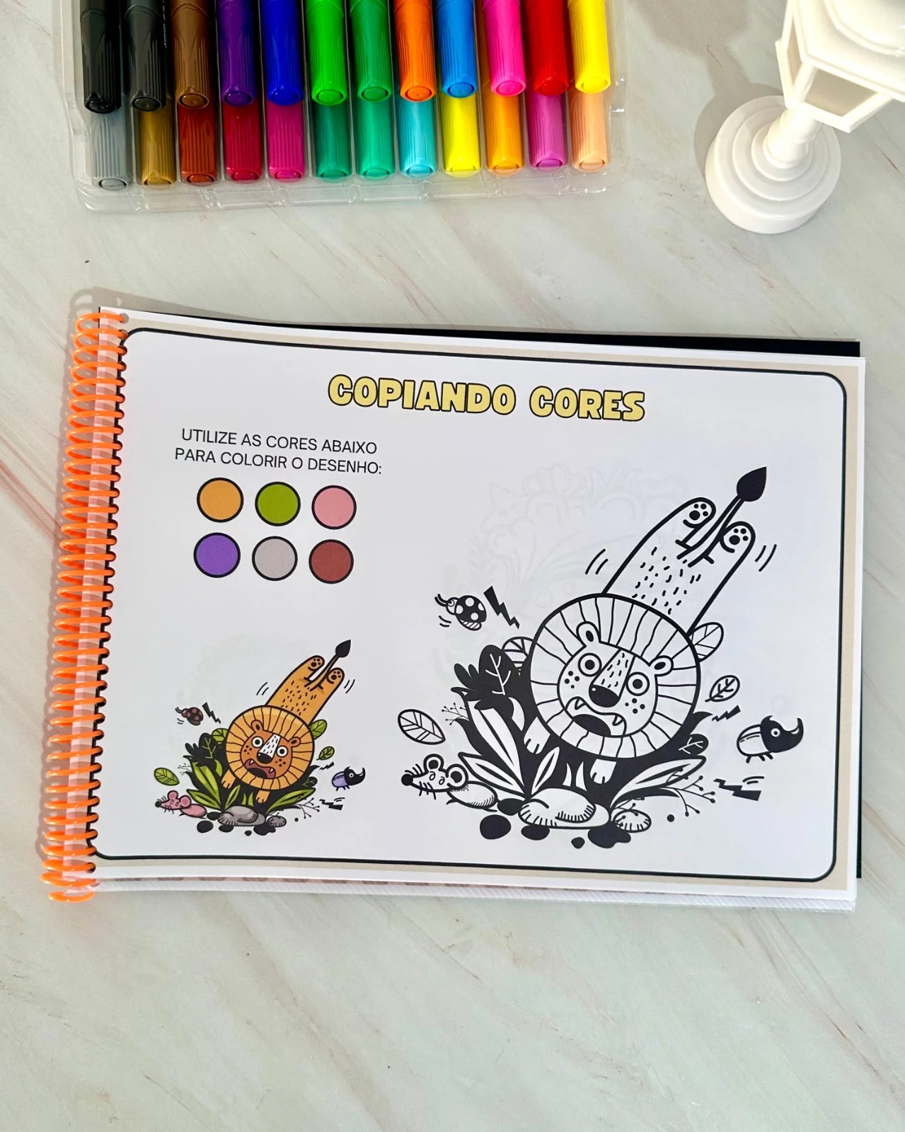 Copiando Cores – Educação Especial - Imagem 4