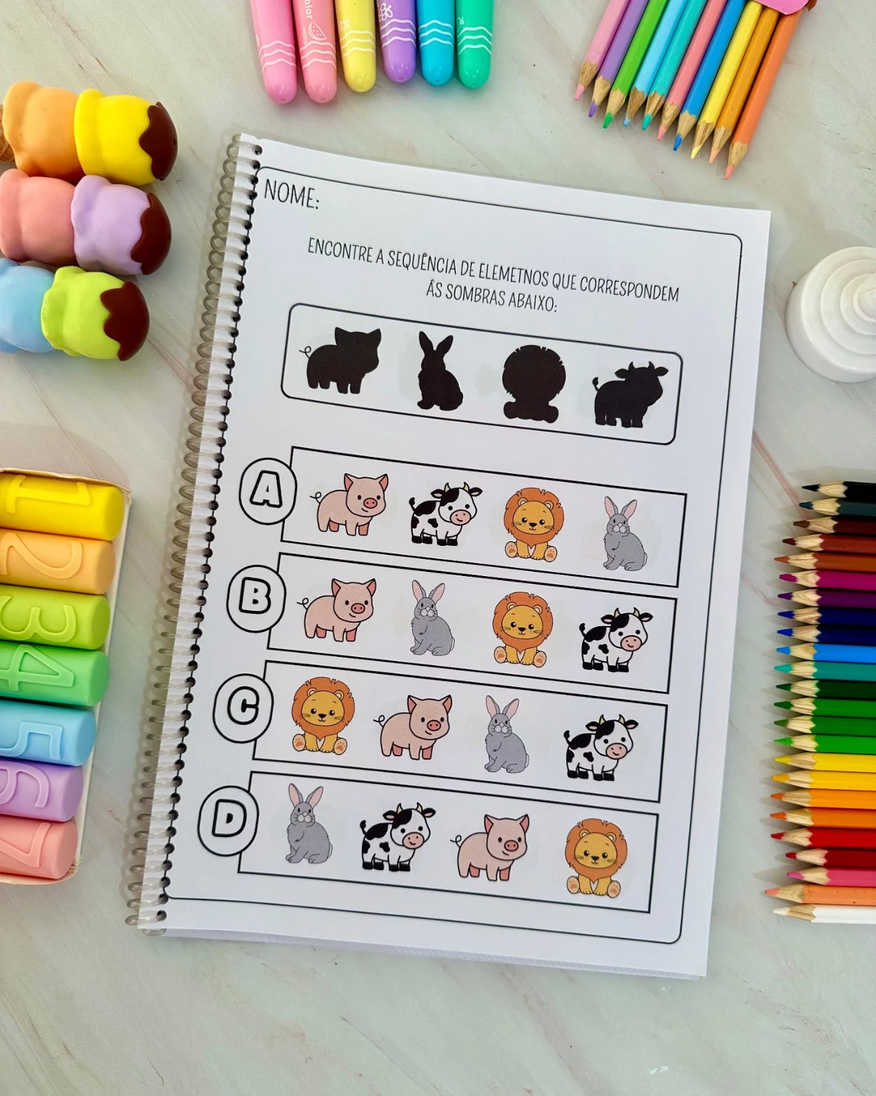 Brincando com Sombras - Educação Especial - Imagem 5