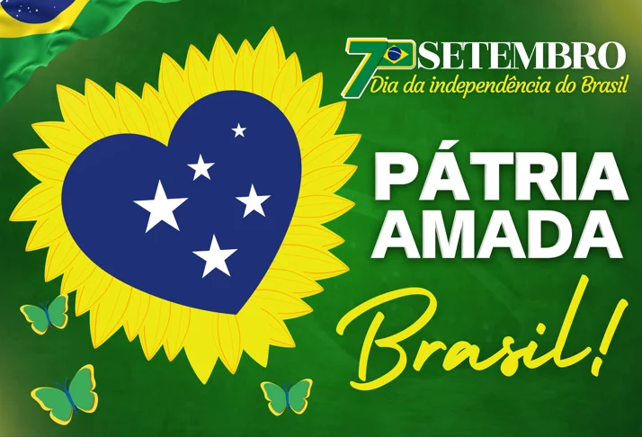 Kit Painéis – Independência do Brasil - Imagem 10
